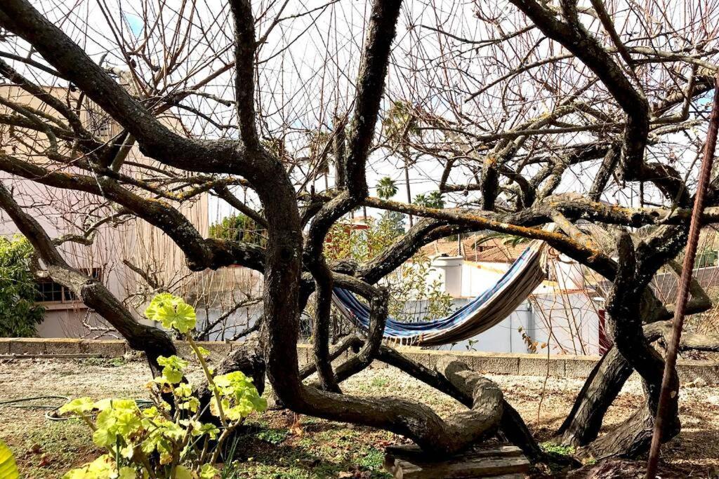 Villa Casa Tia Ines Vilaflor de Chasna Esterno foto
