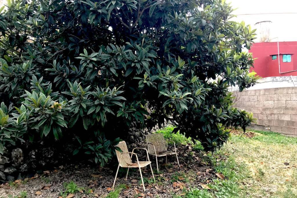 Villa Casa Tia Ines Vilaflor de Chasna Esterno foto